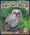 Baby Owl's Rescue (Arbordale Collection)