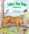 Felina's New Home: a Florida Panther Story