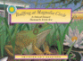 Bullfrog at Magnolia Circle: Includes Ebook (Smithsonian Backyard)
