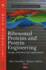Ibosomal Proteins and Protein Engineering: Design, Selection and Applications