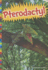 Pterodactyl (Digging for Dinosaurs)