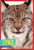 Lynx (Wild Cats)