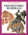 Prehistoric Mammals