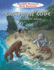 Castaway Code