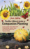 The Mix & Match Guide to Companion Planting: an Easy, Organic Way to Deter Pests, Prevent Disease, Improve Flavor, and Increase Yields in Your Vegetable Garden