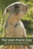 The Utah Prairie Dog: Life Among the Red Rocks