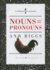 Nouns and Pronouns (Understanding Grammar)