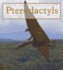 Pterodactyls (When Dinosaurs Lived)