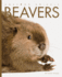 Beavers (Amazing Animals)