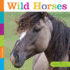 Wild Horses (Seedlings)