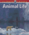 Animal Life (Climate Crisis)