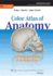 Color Atlas of Anatomy: a Photographic Study of the Human Body