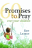 Pocketbooks 60 Promises to Pray (Pocket Inspirations)