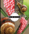 The Life Cycle of a Snail