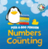 Numbers and Counting (Peek-a-Boo Penguin)