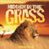 Grass (Hidden in the...)