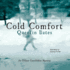Cold Comfort: an Officer Gunnhildur Mystery (Audio Cd)
