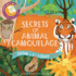 Secrets of Animal Camouflage (Shine-a-Light)