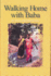 Walking Home with Baba: The Heart of Spiritual Practice