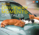 Npr Driveway Moments Cat Tales: Radio Stories That Won't Let You Go