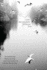 I Am Incomplete Without You: an Interactive Poetry Journal From the Author of I Wrote This for You