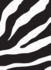 The Message//Remix (Vinyl, Zebra): the Bible in Contemporary Language