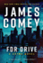 Fdr Drive (Nora Carleton)