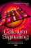 Calcium Signaling (Protein Biochemistry, Synthesis, Structure and Cellular Functions)