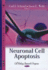 Neuronal Cell Apoptosis (Cell Biology Research Progress)