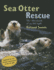 Sea Otter Rescue: 2