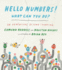 Hello Numbers! What Can You Do? : an Adventure Beyond Counting