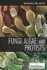 Fungi, Algae, and Protists (Biochemistry, Cells, and Life)