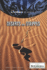 Deserts and Steppes (the Living Earth)