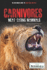 Carnivores