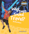 Why Does Sound Travel? (Solving Science Mysteries)