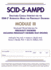 Structured Clinical Interview for the Dsm-5(R) Alternative Model for Personality Disorders (Scid-5-Ampd) Module III: Personality Disorders (Including...Disorder--Trait Specified) (Package of 5)