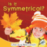 Is It Symmetrical? (Little World Math)