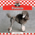 Poodles (Dogs)
