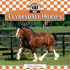 Clydesdale Horses