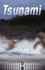 Tsunami (Heights) (the Heights)