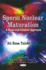 Sperm Nuclear Maturation: a Basic and Clinical Approach (Dna and Rna: Properties and Modifications, Functions and Interactions, Recombination and Applications)