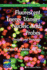 Fluorescent Energy Transfer Nucleic Acid Probes