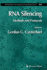Rna Silencing