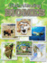 Understanding Biomes (Let's Explore Science)