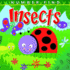 Insects (Number Find)