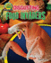 Disgusting Food Invaders-Non-Fiction Reading With Photos for Grade 4, Developmental Learning for Young Readers-Up Close and Gross: Microscopic Creatures