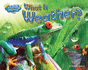 What is Weather? (Science Slam: Weather Wise)