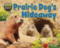 Prairie Dog's Hideaway (Hole Truth! Underground Animal Life)