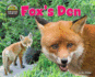 Fox's Den (the Hole Truth! Underground Animal Life)