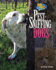 Pest-Sniffing Dogs (Dog Heroes)